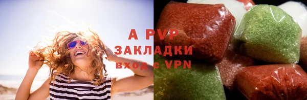 крисы Алзамай