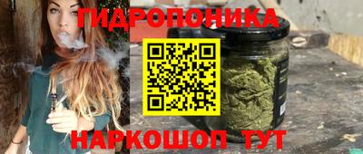 spice Обь