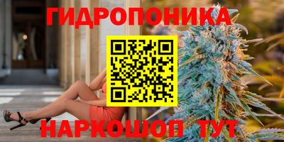 spice Обь